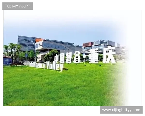 女性企业家创新引领未来绿色可持续高质量智慧创业发展之路新篇章